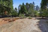 11077 Squirrel Creek Rd - Photo 37