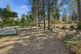 11077 Squirrel Creek Rd - Photo 38