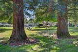9 Miranda Ct - Photo 65