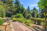 164 Filbert Rd - Photo 35