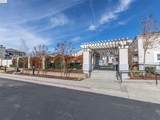 2026 Verbena Cmn - Photo 4