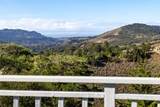 25655 Tierra Grande Dr - Photo 27