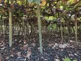 13222 Bell Dr - Photo 8