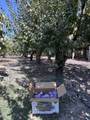 13222 Bell Dr - Photo 9