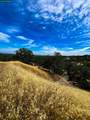 Lot 22 Rolling Oaks - Photo 16