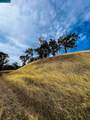 Lot 22 Rolling Oaks - Photo 17