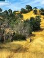 Lot 22 Rolling Oaks - Photo 19