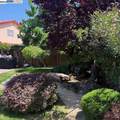 2434 Hibiscus Drive - Photo 30