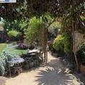 2434 Hibiscus Drive - Photo 38
