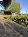 1660 Kibby - Photo 19