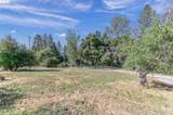 23450 San Diego Ditch Rd. - Photo 50
