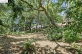 1684 Arrowhead Dr - Photo 46