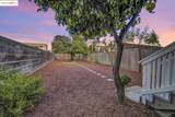 1018 Pine St - Photo 46
