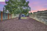 1018 Pine St - Photo 50
