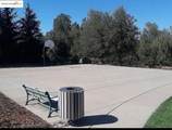 9670 Canopy Tree St - - Photo 19