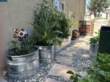 250 Terrazzo Cir - Photo 41