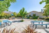 250 Terrazzo Cir - Photo 46