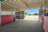 1950 Tule Ln - Photo 38