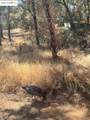 18891 Tanglewood Hollow Way - Photo 18