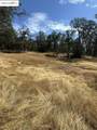 18891 Tanglewood Hollow Way - Photo 20