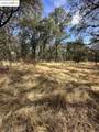 18891 Tanglewood Hollow Way - Photo 21