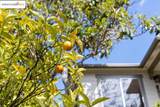 556 Norvell St - Photo 48