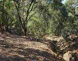 12 Vista Del Orinda - Photo 17