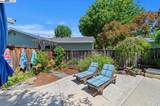 1253 Ridgewood Rd - Photo 46