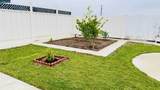 2026 Maiden Grass Ave - Photo 38
