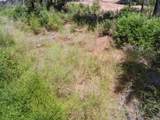Lot3&6 Branson Rn - Photo 13