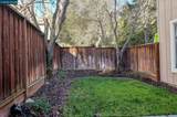 10838 Mcpeak Ln - Photo 18