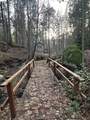 22895 Fork Rd. - Photo 9