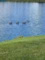 4059 Lakeshore Dr - Photo 42