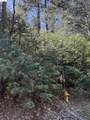 000 Lot 498 Oxbow Lane - Photo 13