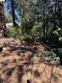 000 Lot 498 Oxbow Lane - Photo 9