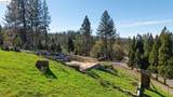 20169 Pine Mountain Dr - Photo 4