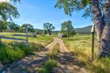 4780 Mary Harrison Mine Rd - Photo 77