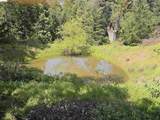 #14 Lake Sonoma Ranches - Photo 41