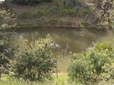 #14 Lake Sonoma Ranches - Photo 42