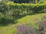 #14 Lake Sonoma Ranches - Photo 50