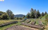 #14 Lake Sonoma Ranches - Photo 51