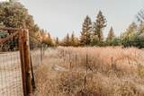 #14 Lake Sonoma Ranches - Photo 60