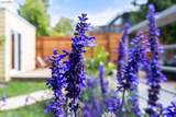 1021 Colusa Ave - Photo 45