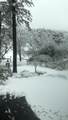 2360 Secret Ravine Trail - Photo 60
