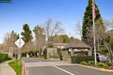 3331 Quail Walk Ln - Photo 39