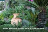 5378 Conestoga Way - Photo 99