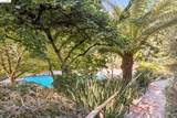 2556 Carisbrook Dr - Photo 76