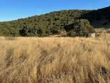 0 Pine Canyon Rd - Photo 6