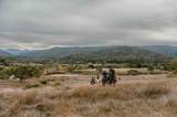 8 Corral Run - Photo 10