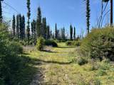 4605 Last Chance Rd - Photo 25